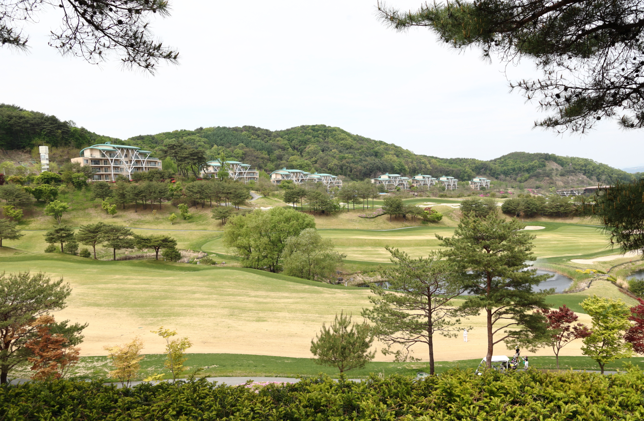 Yakidoeneunbapsang (약이되는밥상) 2