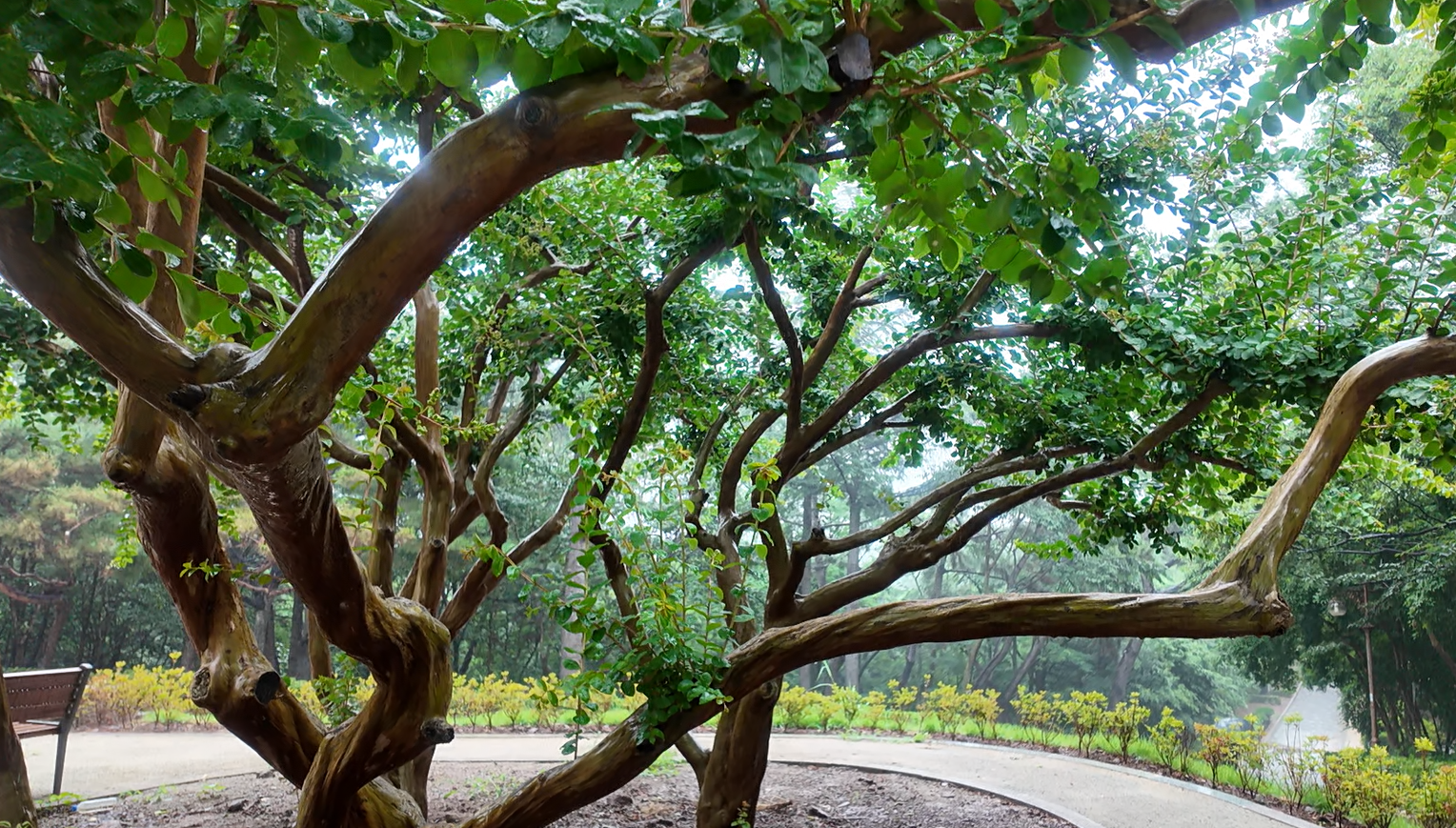 침산공원 이미지