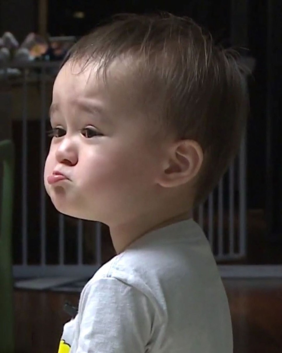  슈돌의 최고 귀염둥이 벤틀리