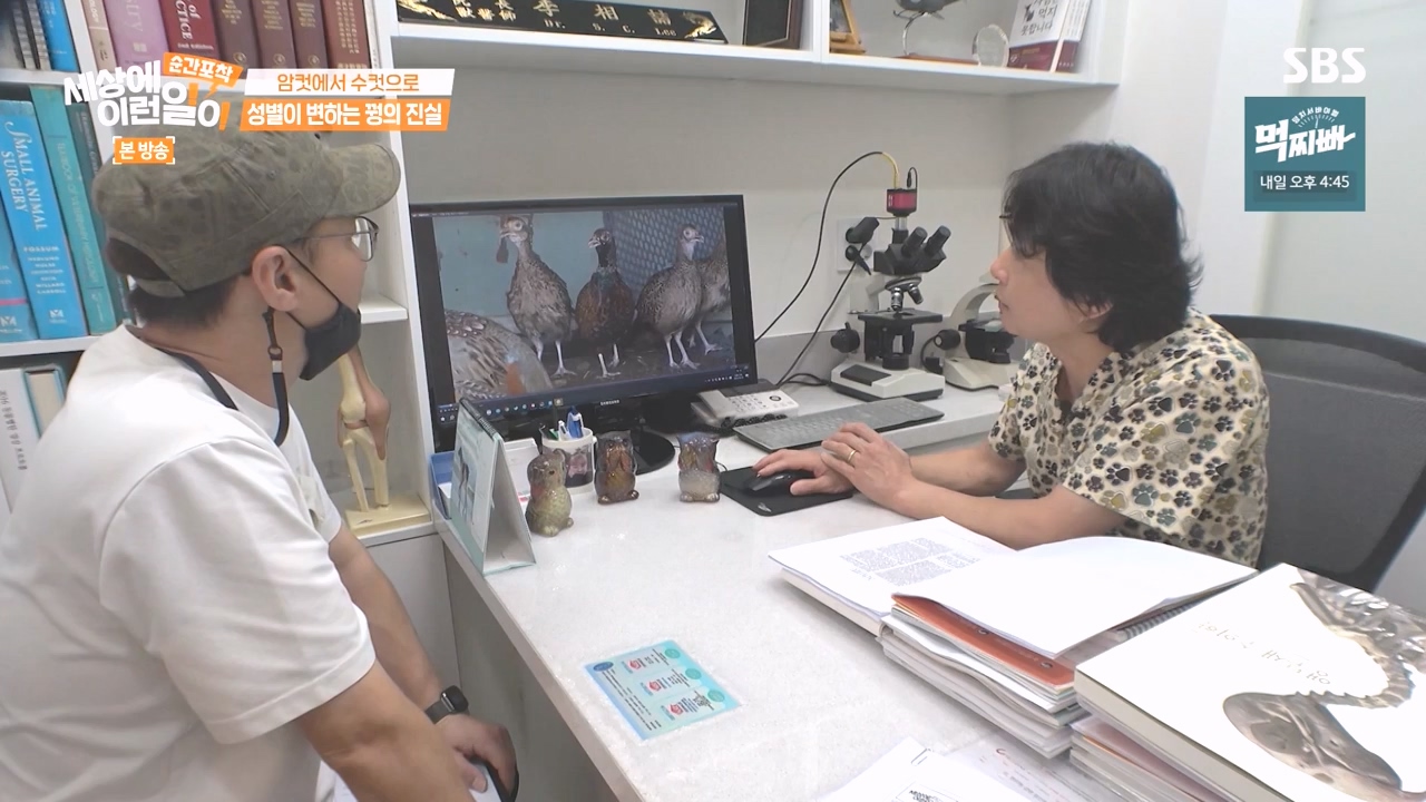 순간포착 세상에 이런일이.E1248.231015p-NEXT.mp4_20231015_164803.290.jpg