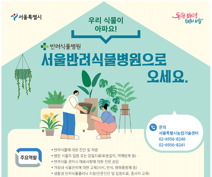 반려식물클리닉