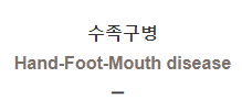 수족구병 [Hand-Foot-Mouth disease]