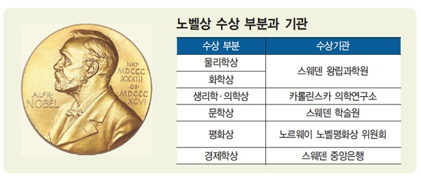 노벨상의 6개 부문