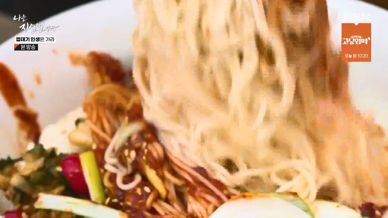 나는 자연인이다.E590.240125p-NEXT.mp4_20240125_200045.610.jpg