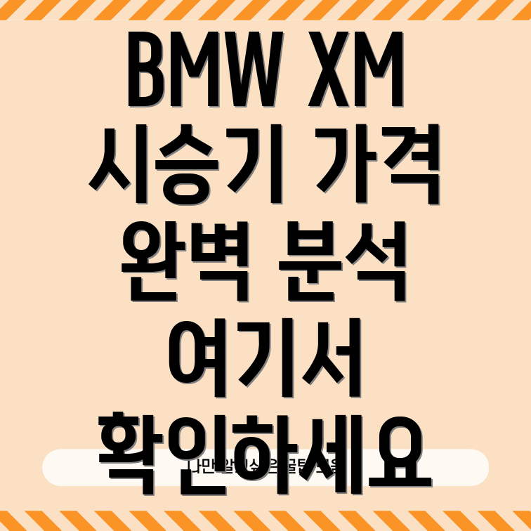 BMW XM 가격