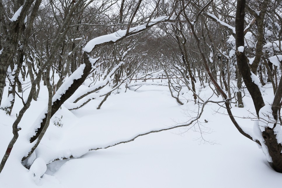 눈쌓인 겨울산 이미지 57