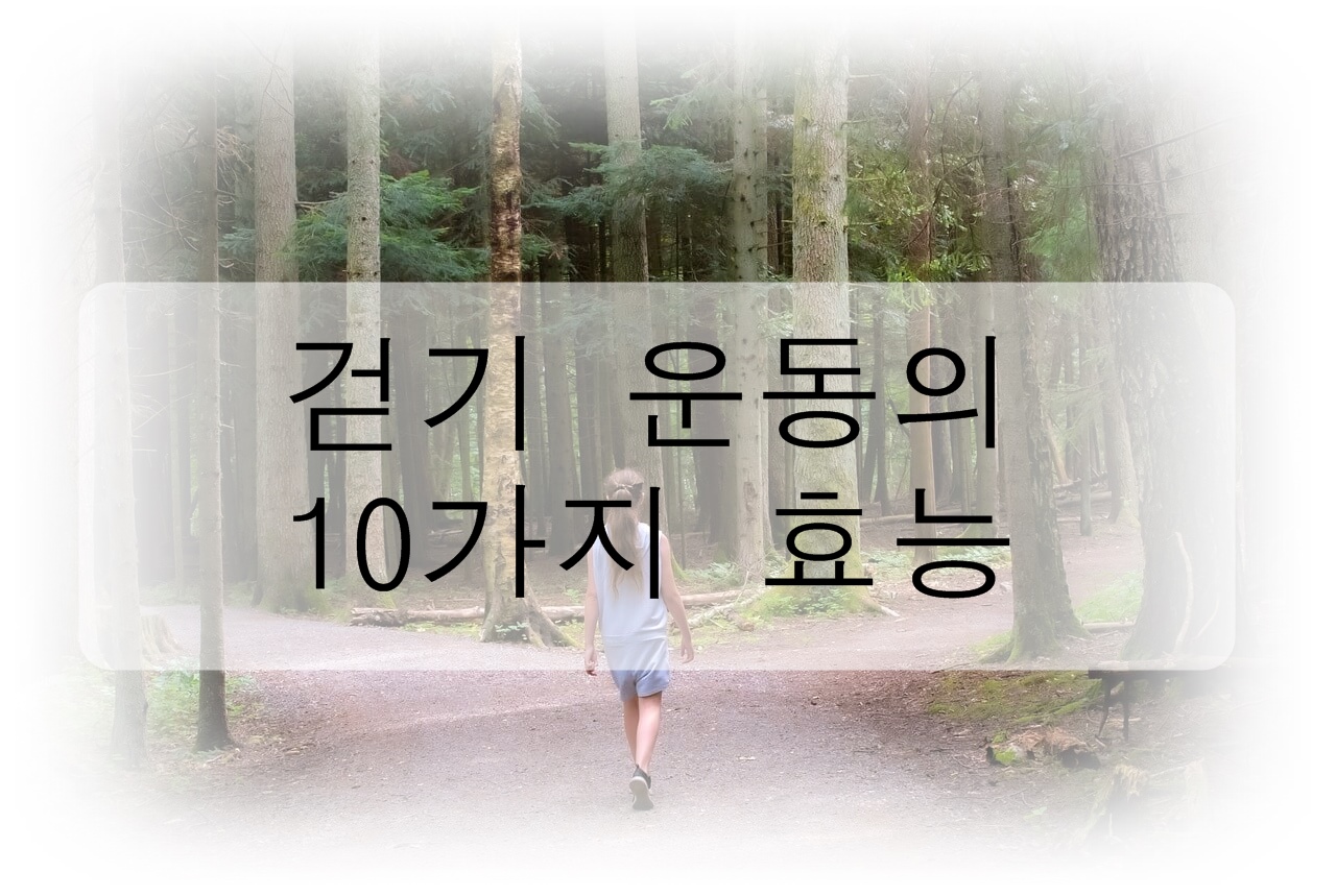  걷기 운동의 10가지 효능 총정리!