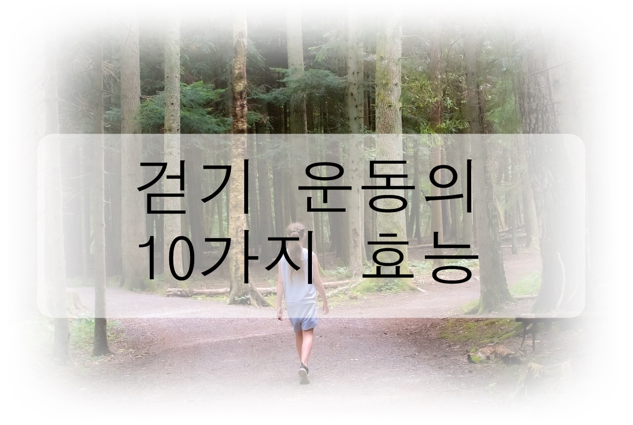 걷기 운동의 10가지 효능 총정리!