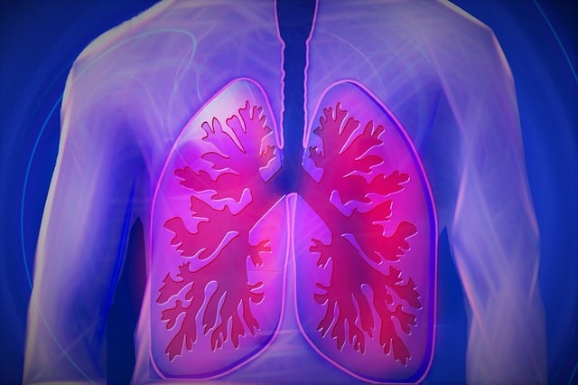 폐암생존율