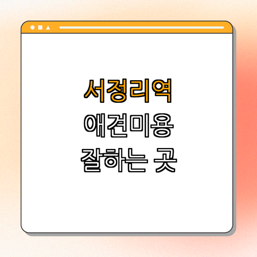 1호선 서정리역 애견미용 잘하는 곳 BEST4 ｜ 추천받은 미용샵 ｜ 가까운 위치 찾기 ｜ 예쁜 반려견 선물하기 ｜ 후기 모음 ｜ 애견미용 정보 총정리