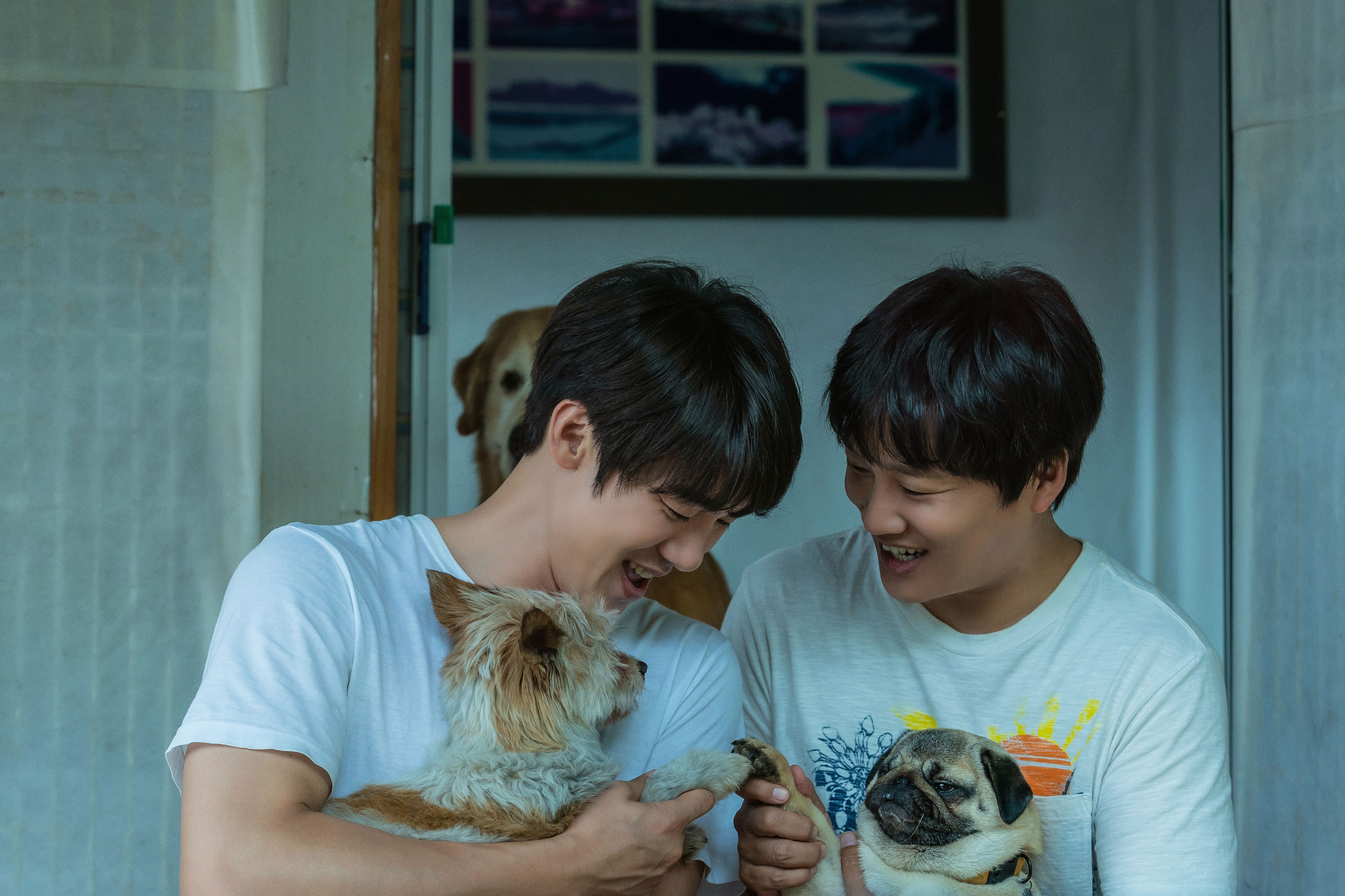  멍뭉이, 유기견이 없는 세상을 꿈꾸며