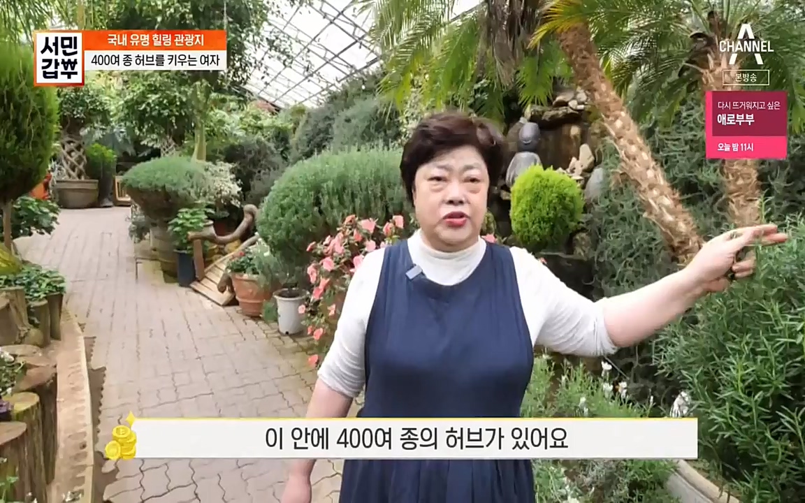 서민 갑부.E380.220424p-NEXT.mp4_20220424_184334.494.jpg