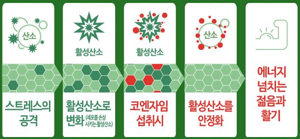 세노비스 코엔자임Q10