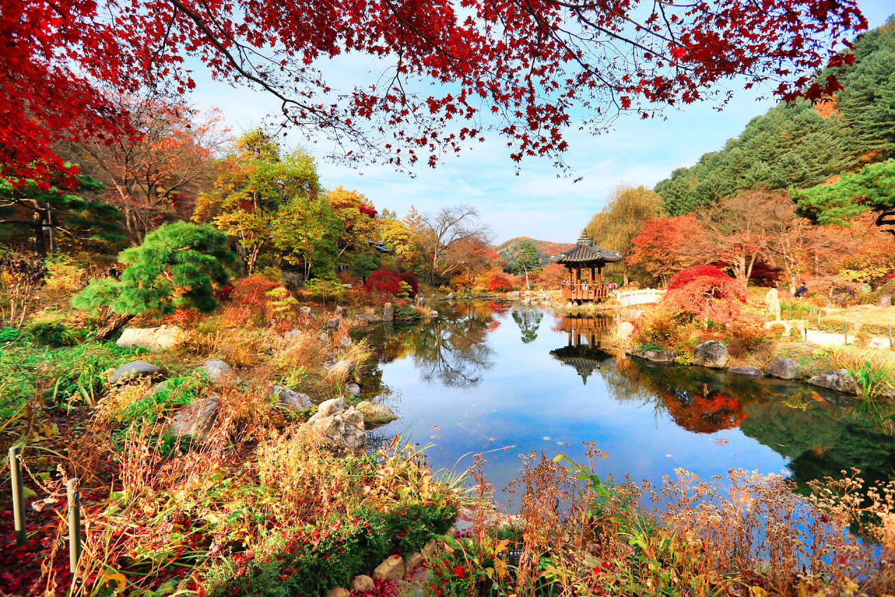 아침고요수목원 입장료/ 근처 맛집/ 펜션/ 국화축제/ 동물원/ 주차장/ 할인