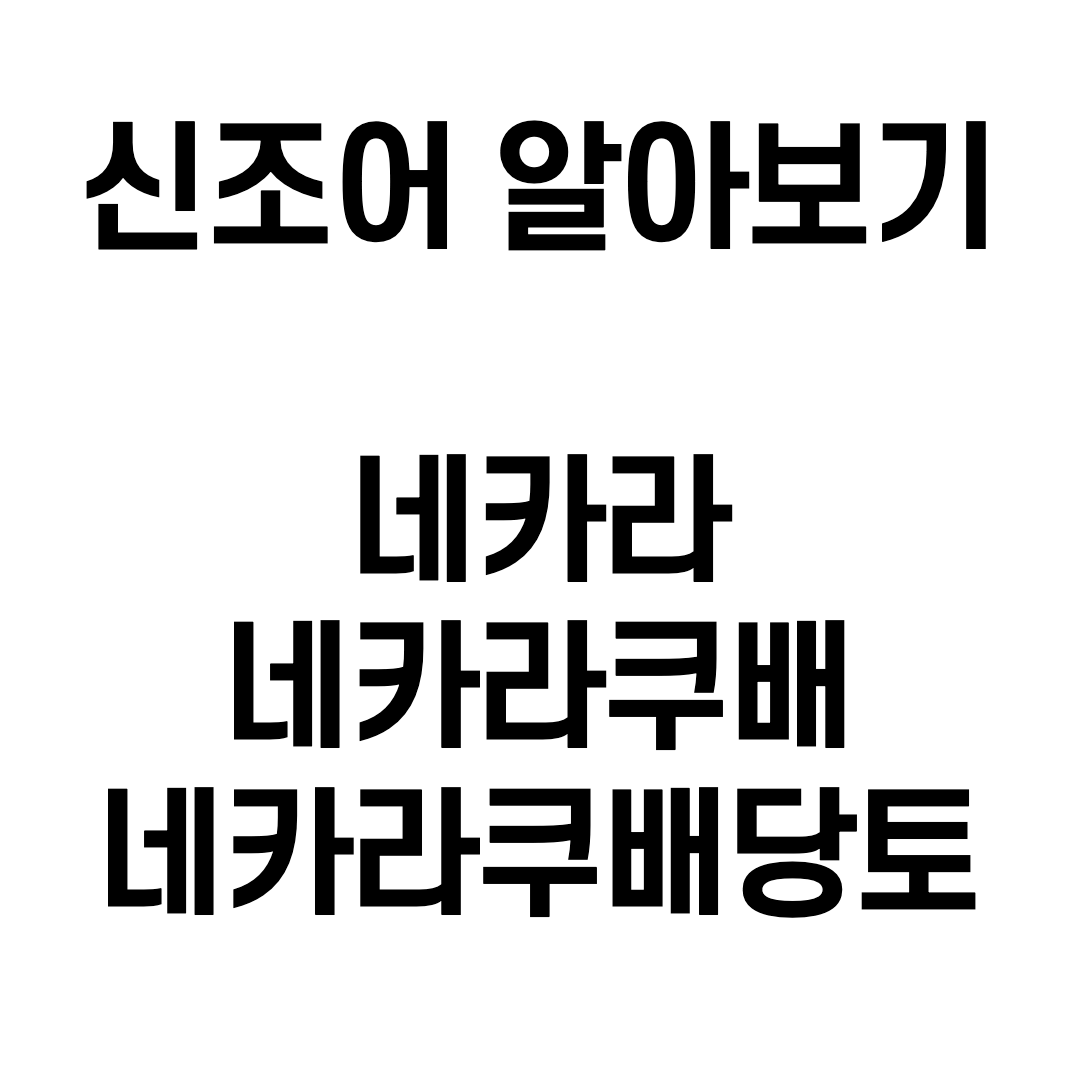  네카라쿠배당토 - 개발자 이야기