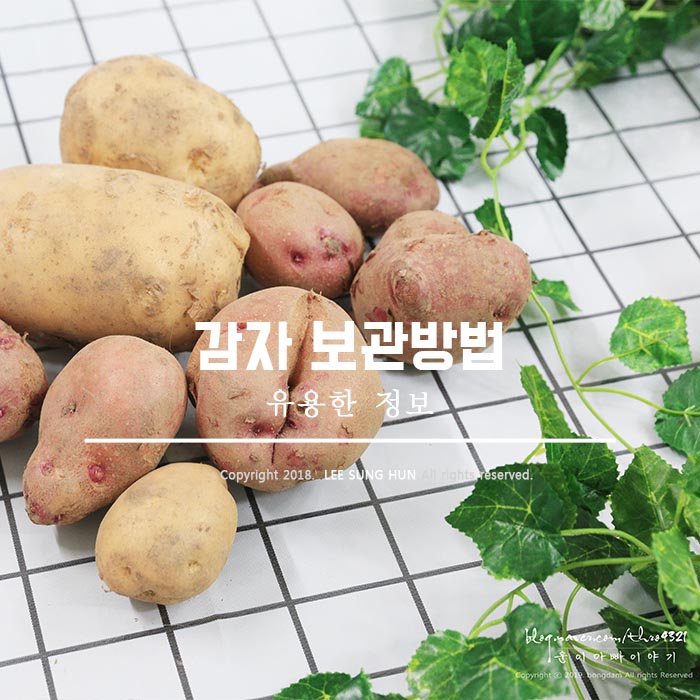  박스로 구입했다면 감자 보관방법
