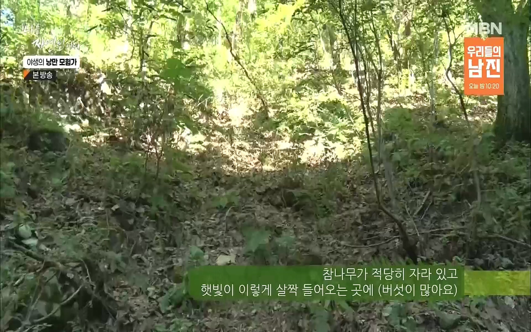 나는 자연인이다.E520.220921p.H264-F1RST.mp4_20220922_202745.663.jpg