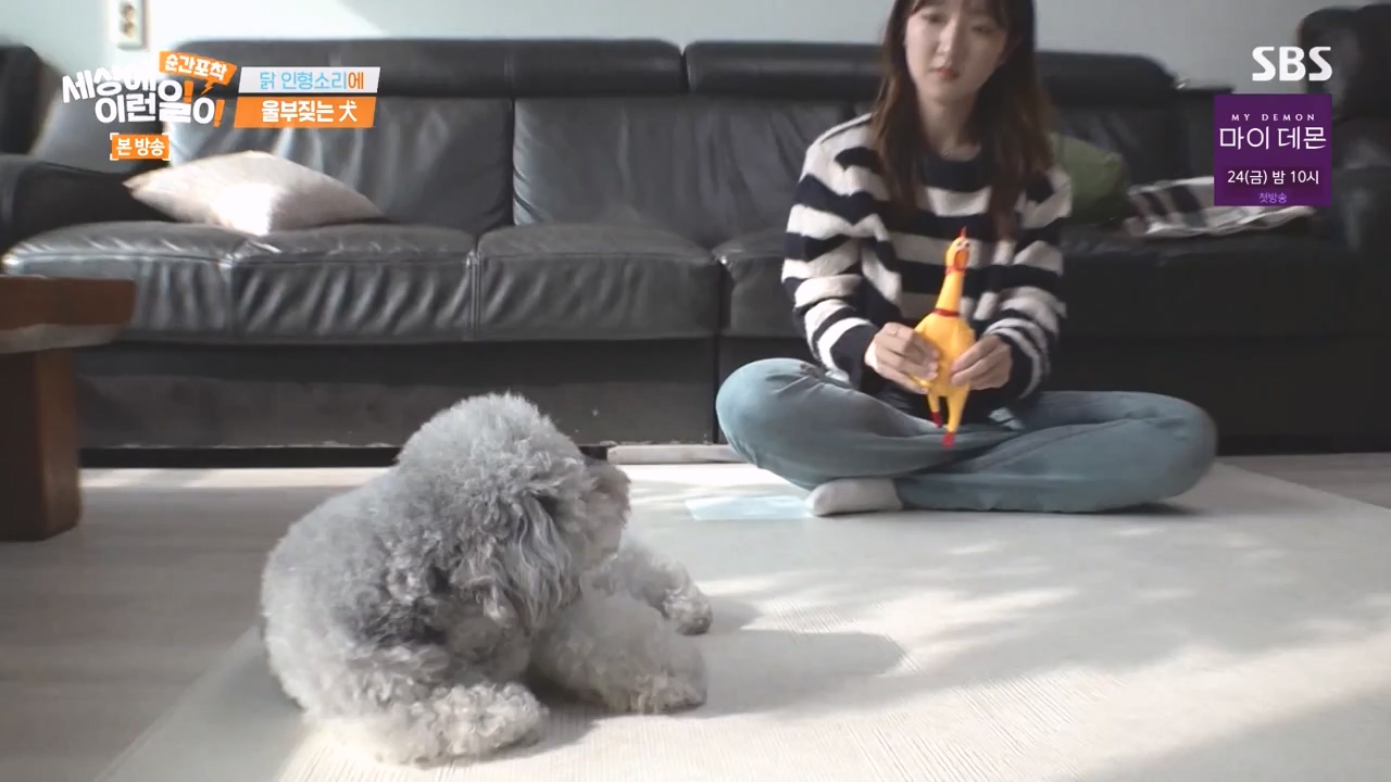 순간포착 세상에 이런일이.E1252.231112p-NEXT.mp4_20231112_170300.817.jpg