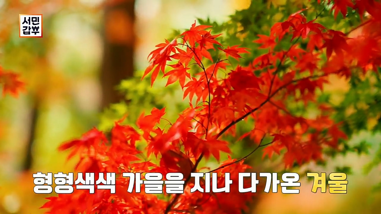 서민갑부.E413.221211p.H264-F1RST.mp4_20221211_141416.039.jpg