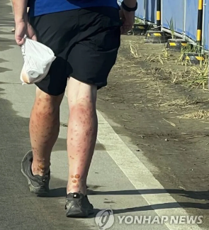 새만금 잼버리 파행