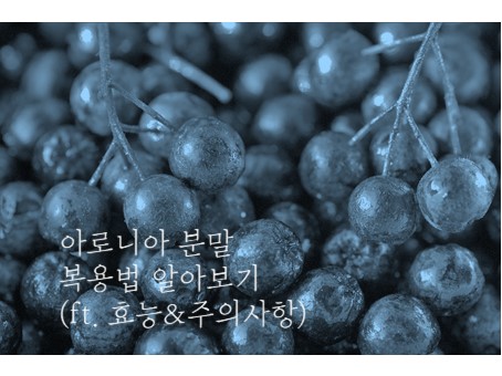 아로니아 분말 복용법, 제대로 알아보고 먹자! (ft. 효능 & 주의사항