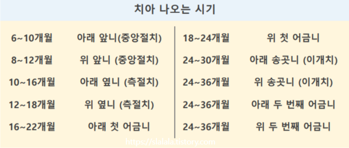 아기 치아 나오는 시기