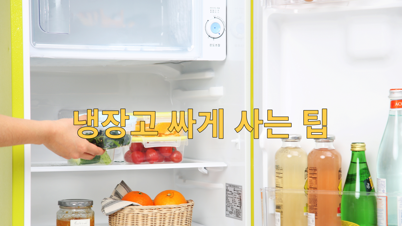 냉장고 싸게 사는 팁 TCL 미니냉장고 화이트 46L F48DW