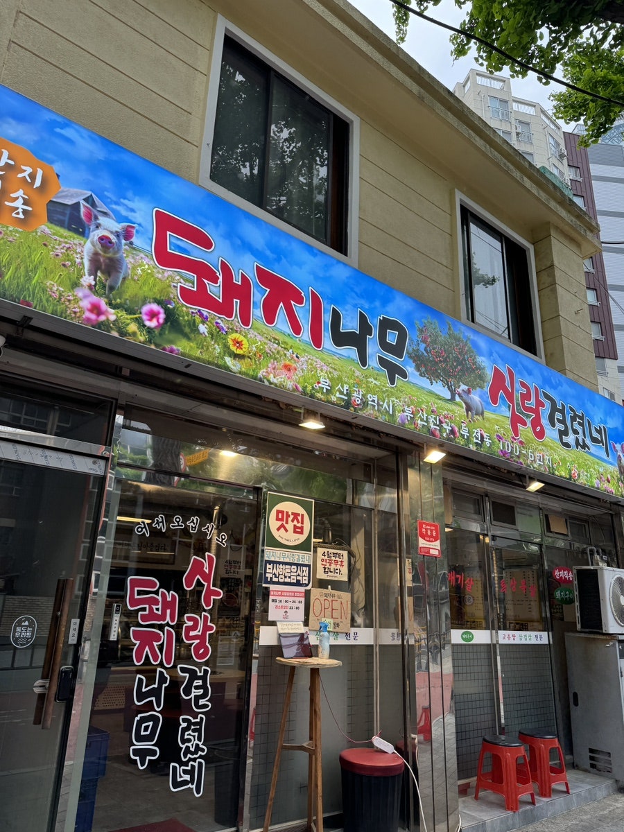 돼지사랑 이미지
