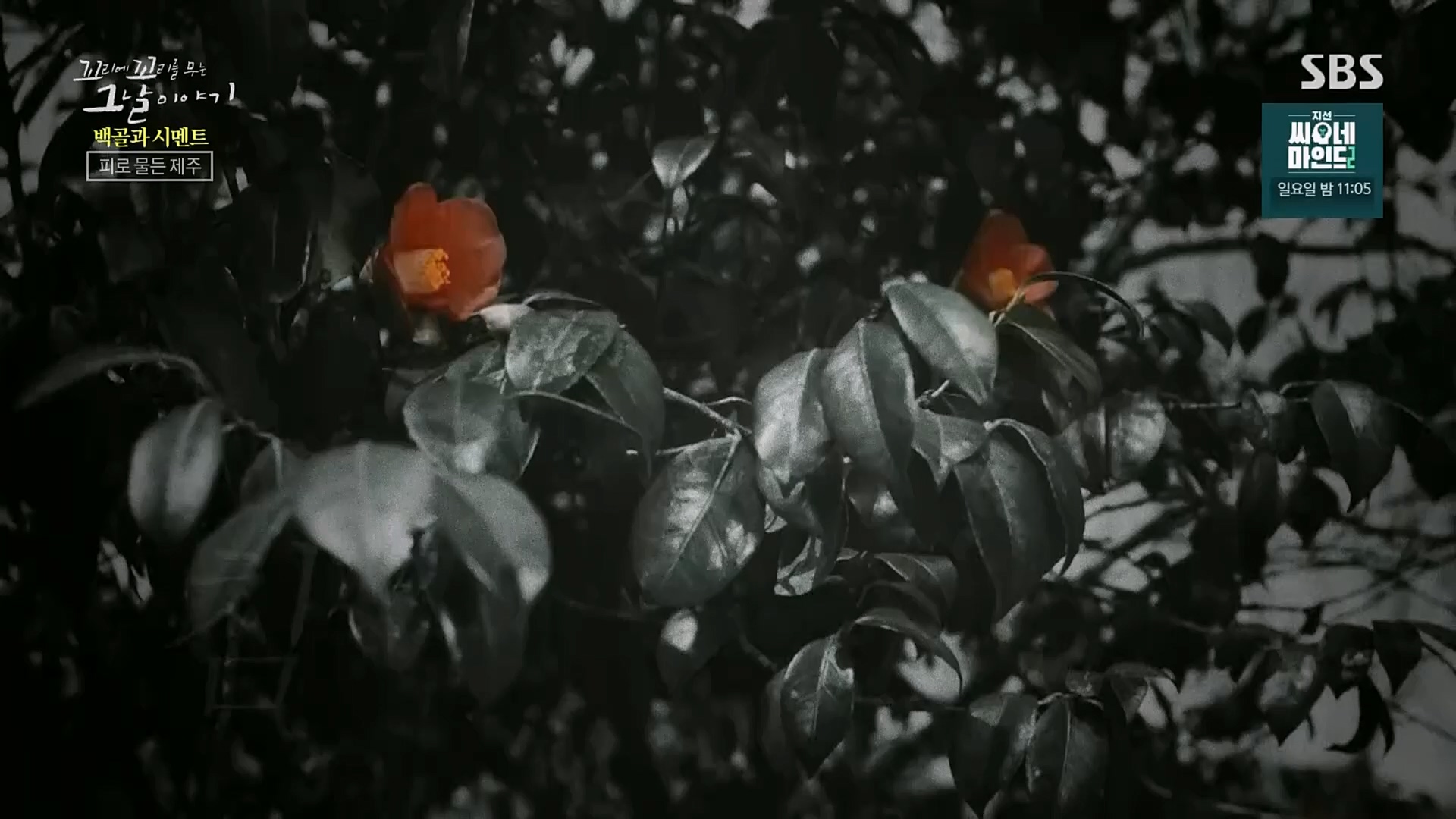 꼬리에꼬리를무는그날이야기.E73.230406p.H264-F1RST.mp4_20230409_135720.778.jpg