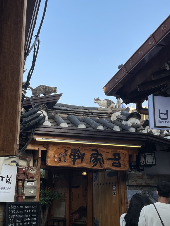 증상 다양하네요 남성 갱년기 4