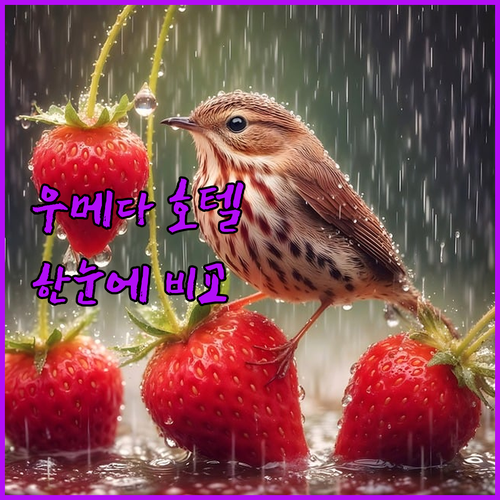 오사카 우메다 호텔 완벽 비교 위치,