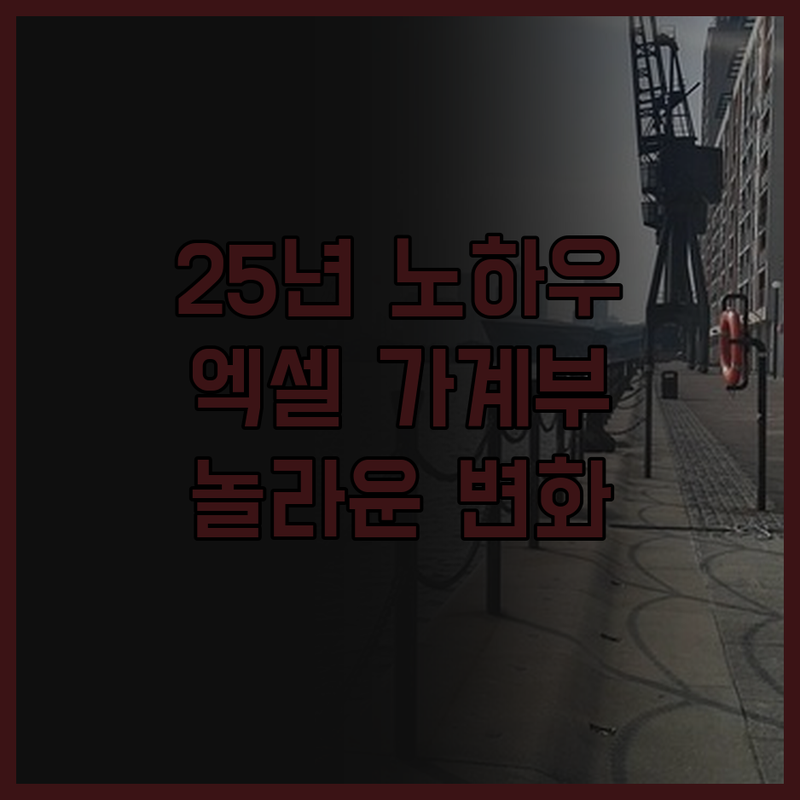 25년 노하우 담은 엑셀 가계부 놀라