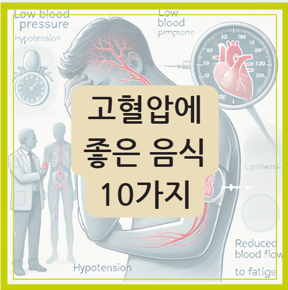 고혈압 관리 고혈압에 좋은 음식 10가지 추천