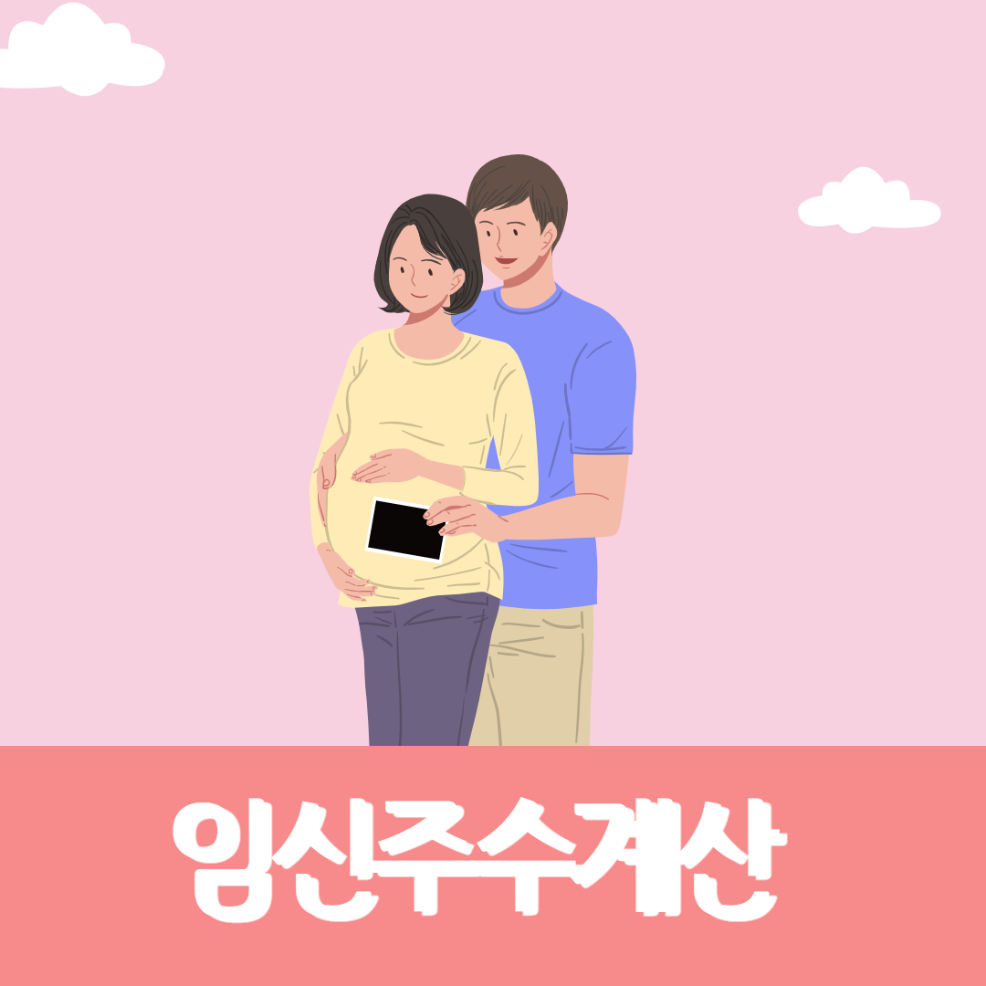 임신 주수 계산