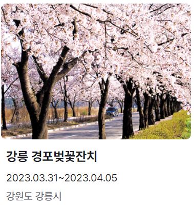 벚꽃-개화시기-2024-벚꽃축제-일정-명소