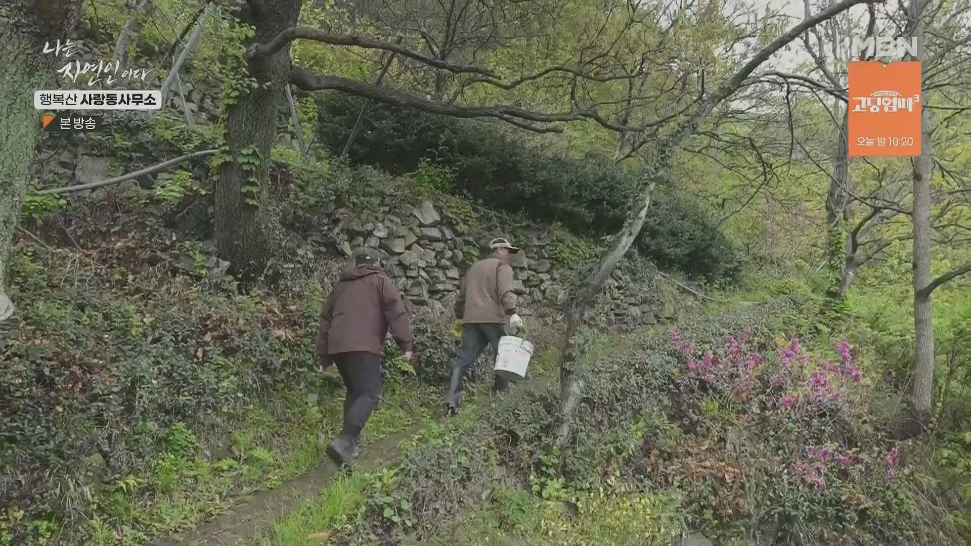 나는 자연인이다.E552.230503p.H264-F1RST.mp4_20230504_200311.971.jpg