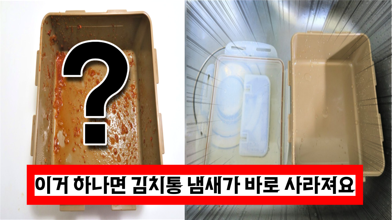  '이젠 냄새 하나도 안나요' 김치통 냄새 감쪽같이 잡는 방법