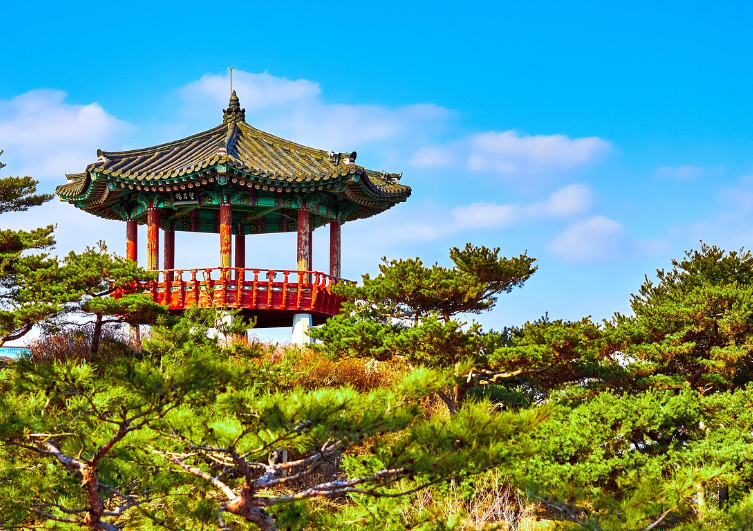추가 정보 및 지원