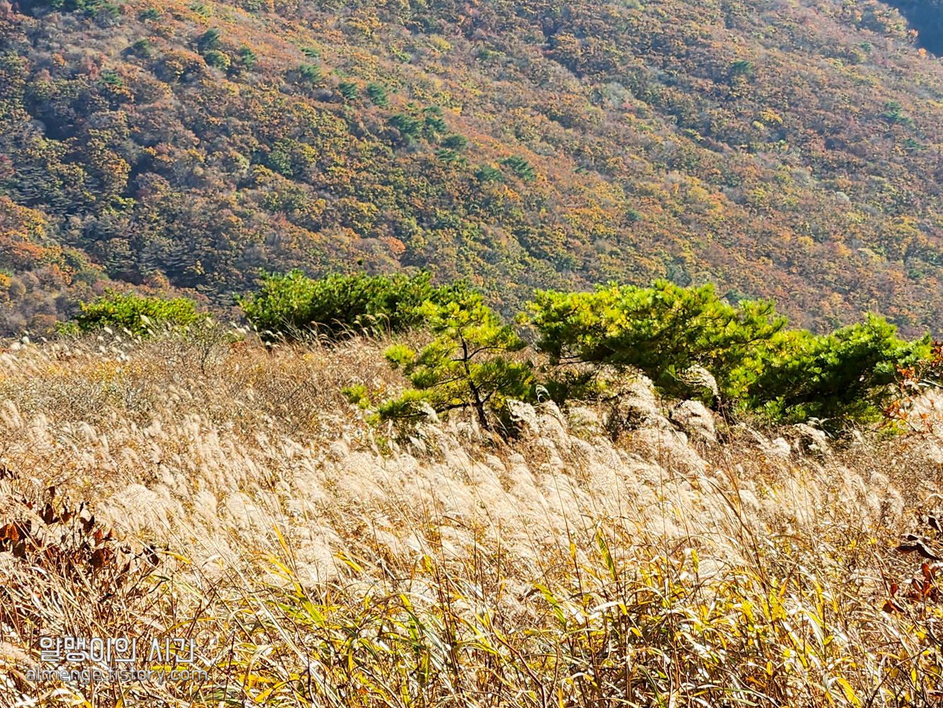 울산 신불산 백패킹 - 텐트 밖은 영남알프스 #23-2 울산 신불산 백패킹 - 텐트 밖은 영남알프스 #23-2