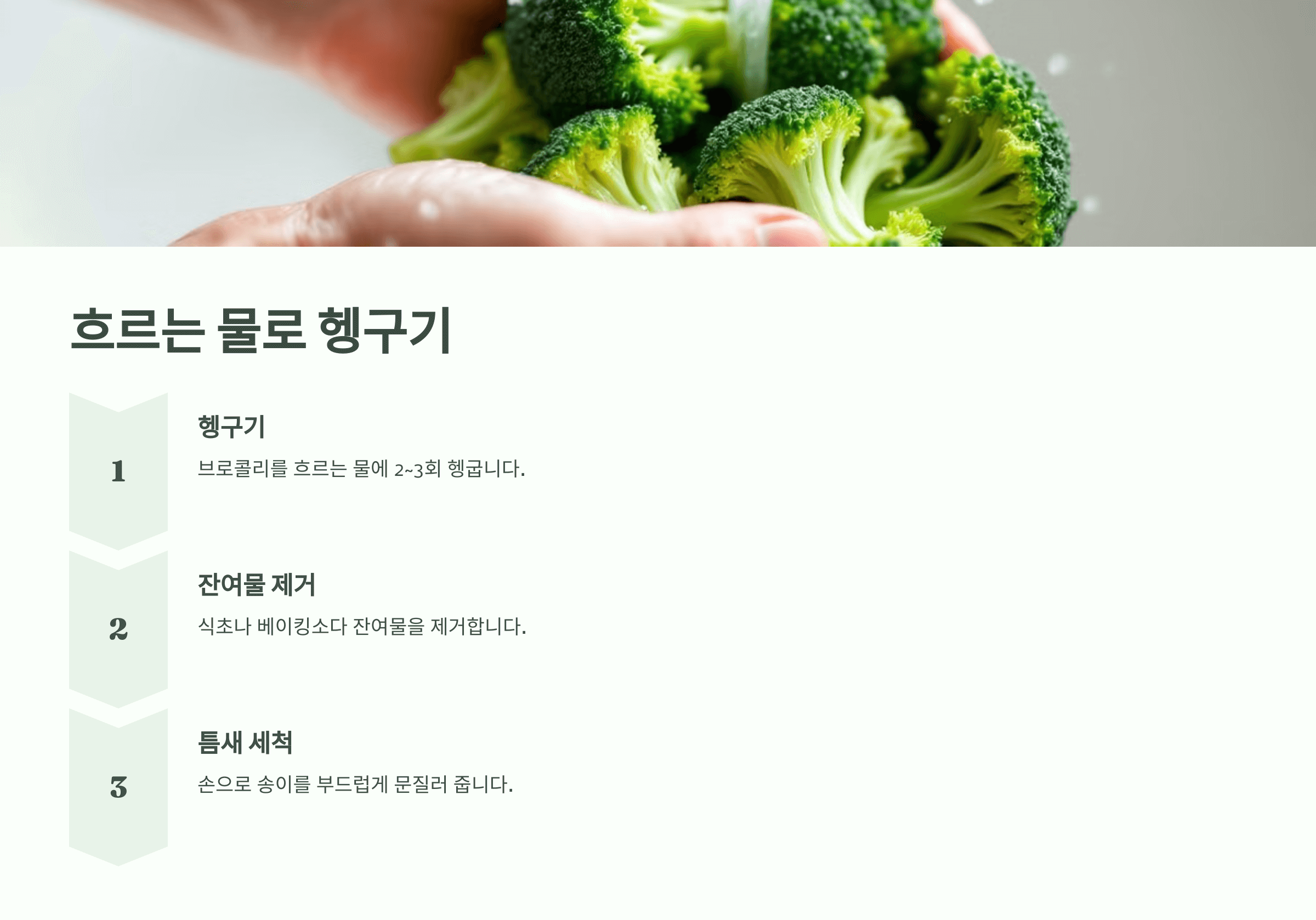 브로콜리 사진입니다.