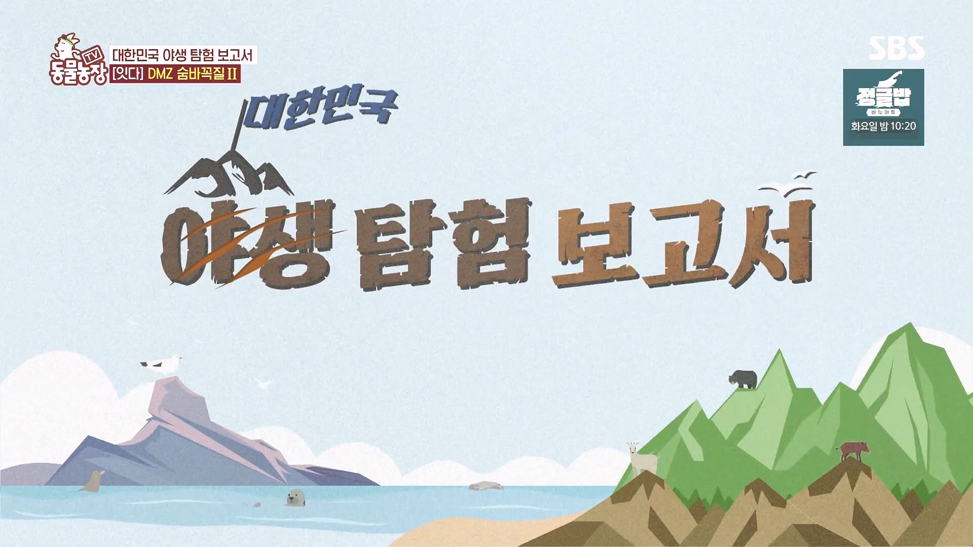 TV 동물농장.E1185.240818p.H264-F1RST.mp4_20240818_160350.048.jpg