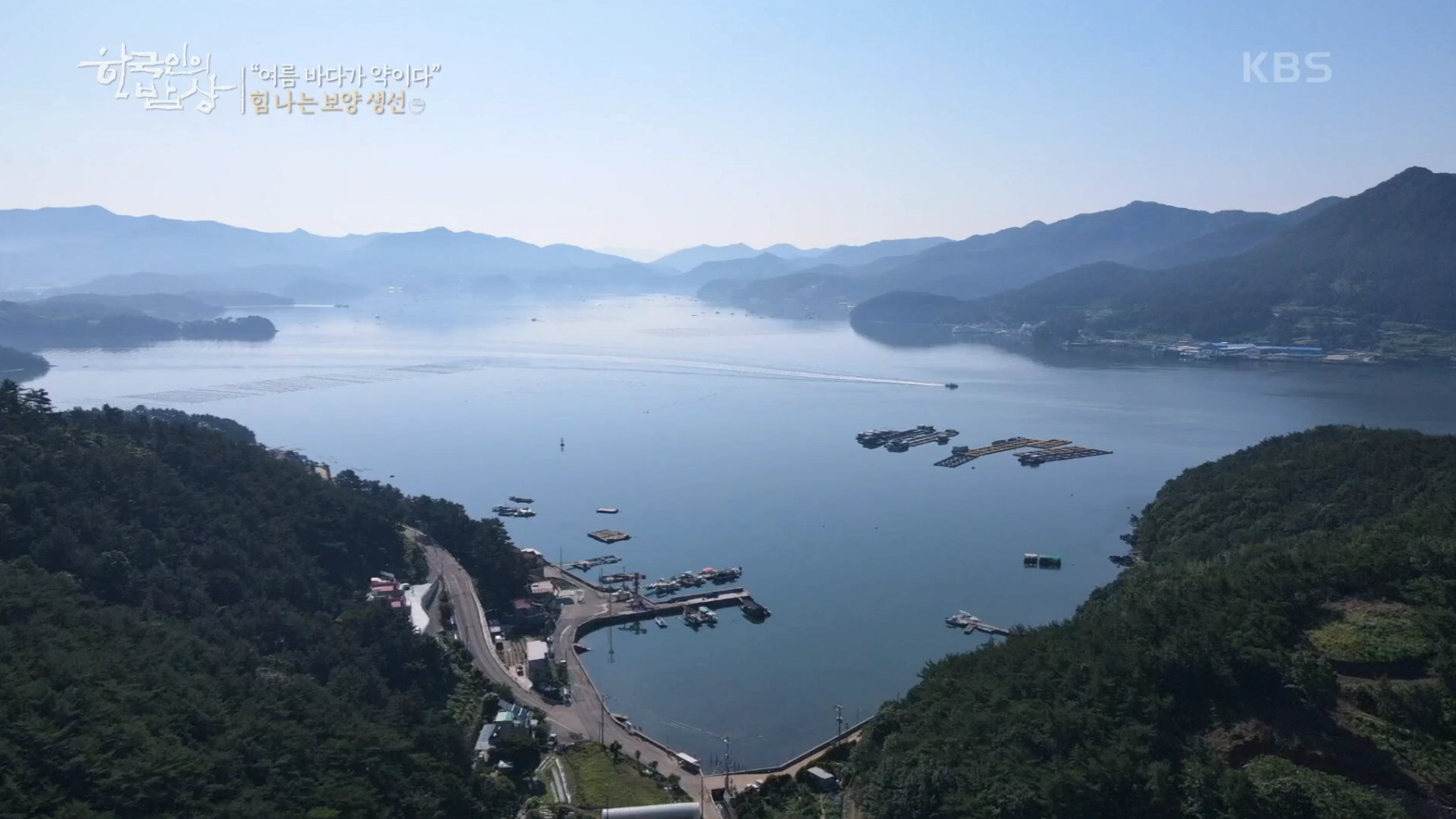 군령포 하모자연산횟집 사진 3