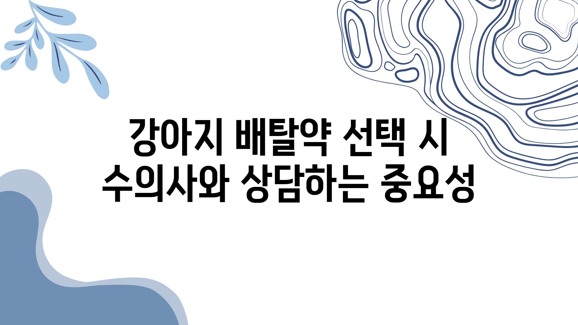 강아지 배탈약 선택 시 수의사와 상담하는 중요성