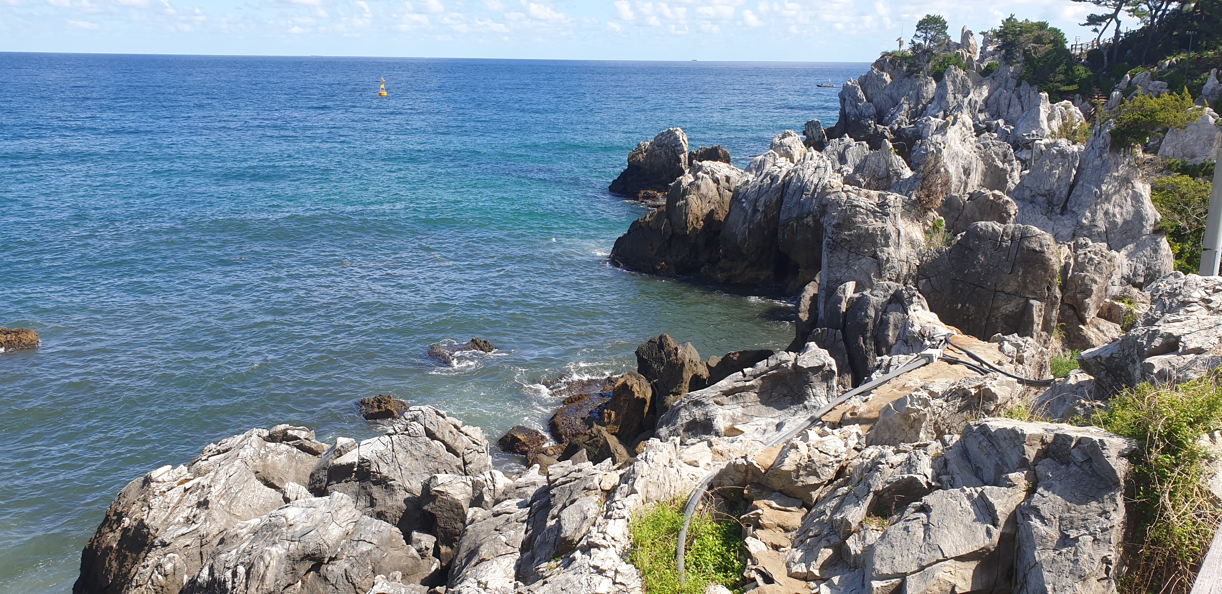 동해 추암촛대바위와 출렁다리 / 동해 여행 추천