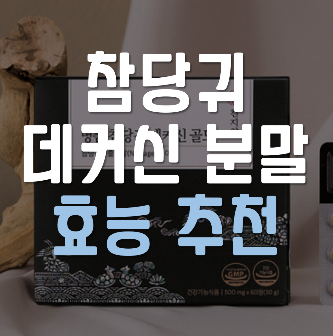  참당귀 데커신 분말 효능 가격