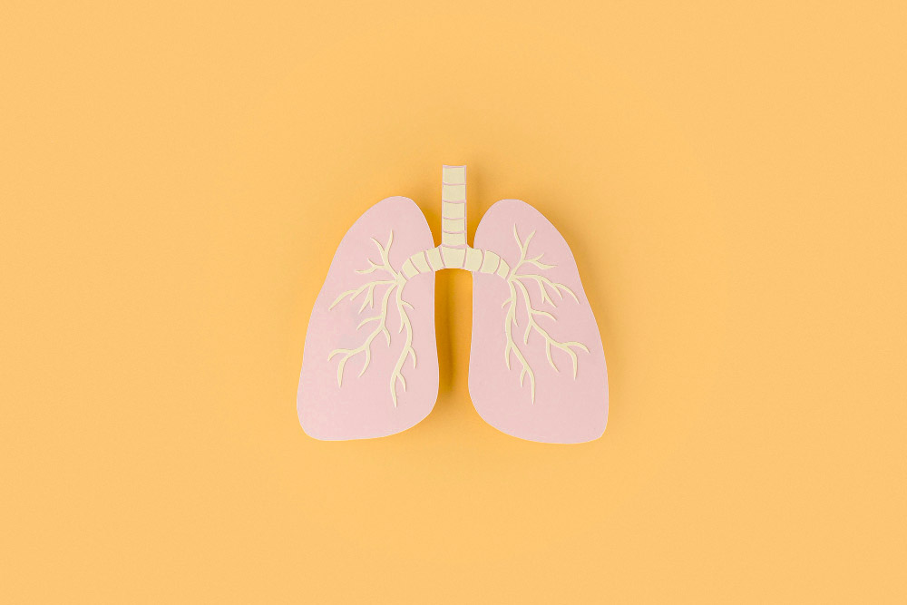 폐암 생존율