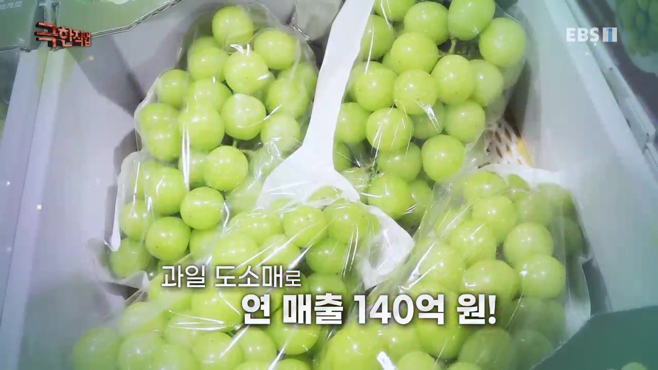 TV - 교육의 중심 EBS성공 스토리! 쪽파 재배와 과일 도매.mp4_20221209_201352.458.jpg