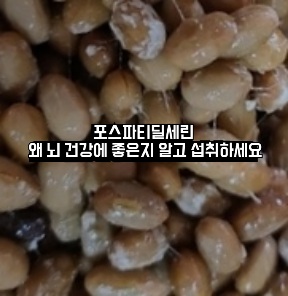 포스파티딜-세린-분말-효능