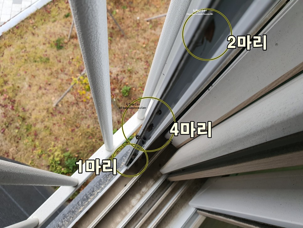 벌레 차단 창문틈 방충망 용인 아파트벌레 4