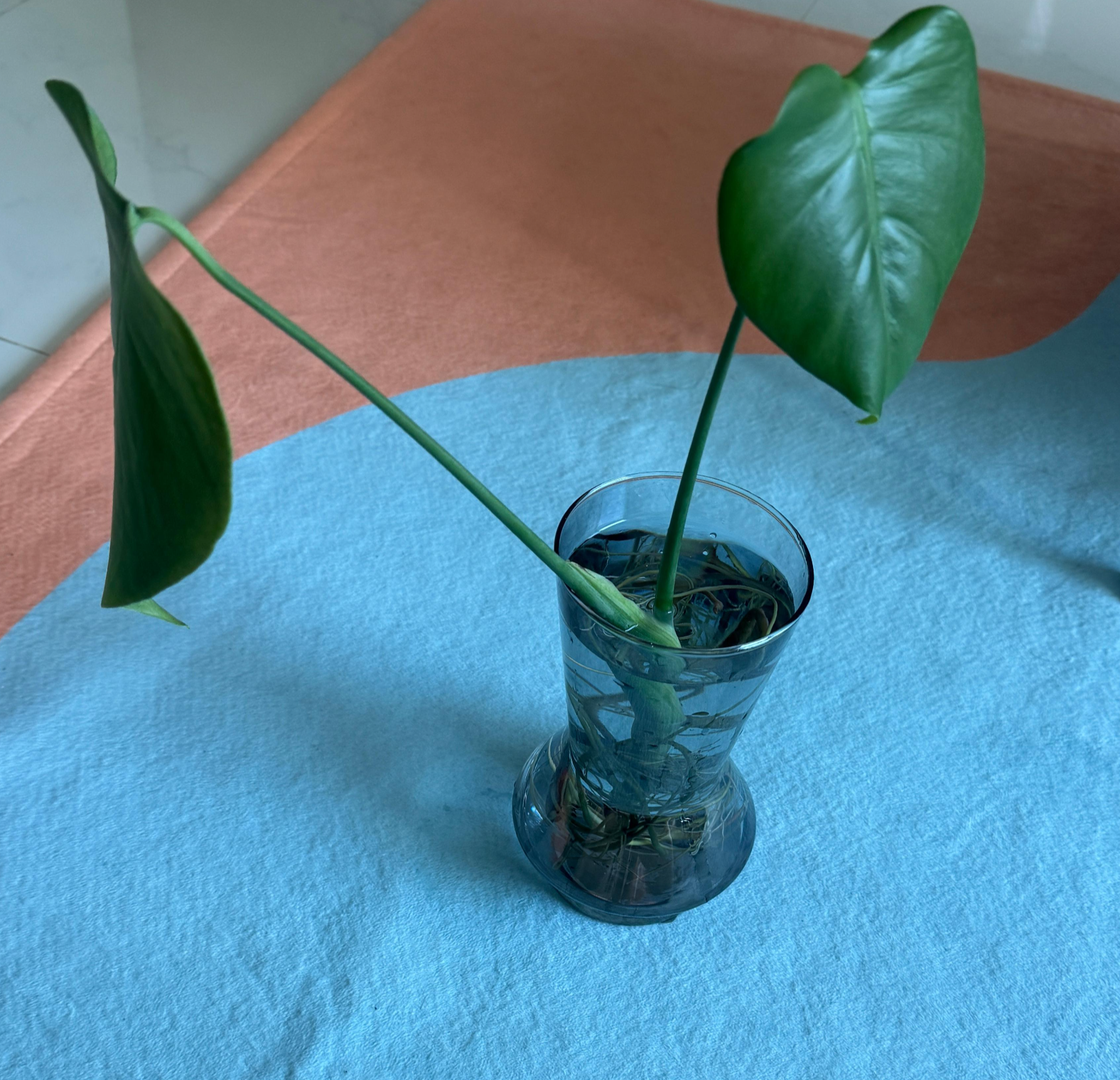 다이소 화병, 꽃병